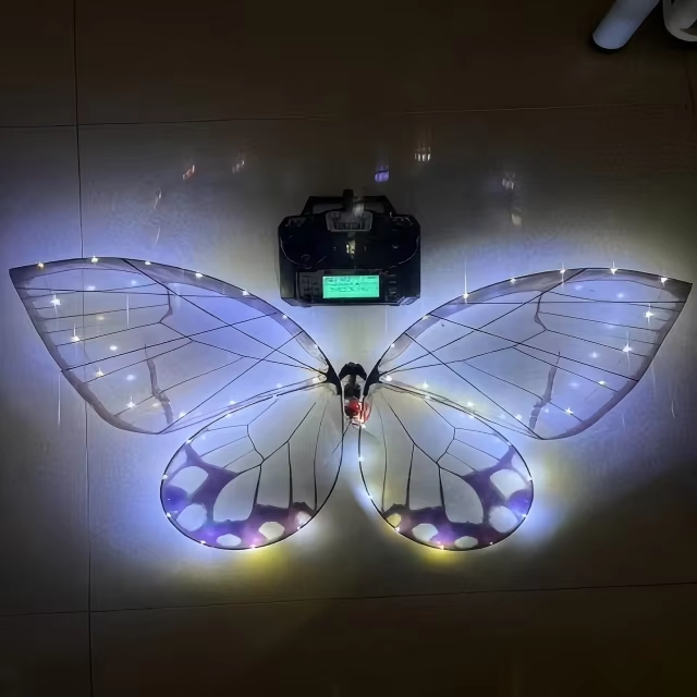 Drone bướm bay gần người trong không gian kín nên khâu chuẩn bị quan trọng hơn thiết bị